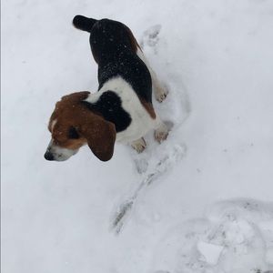 Meet your Posher, Maggie